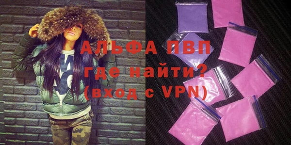 сатива Арсеньев