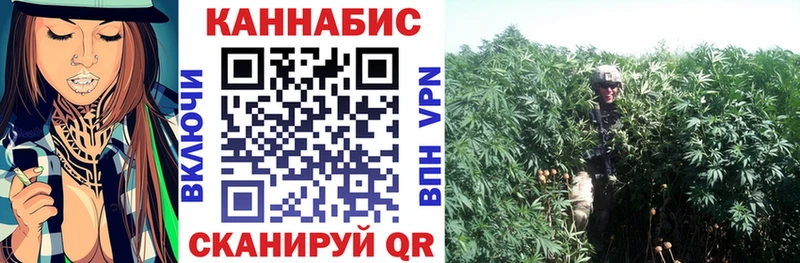 Бошки Шишки THC 21%  Белинский 